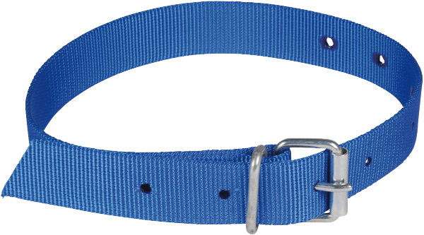 Halsmarkierungsband mit Rollenschnalle, blau, 130cm