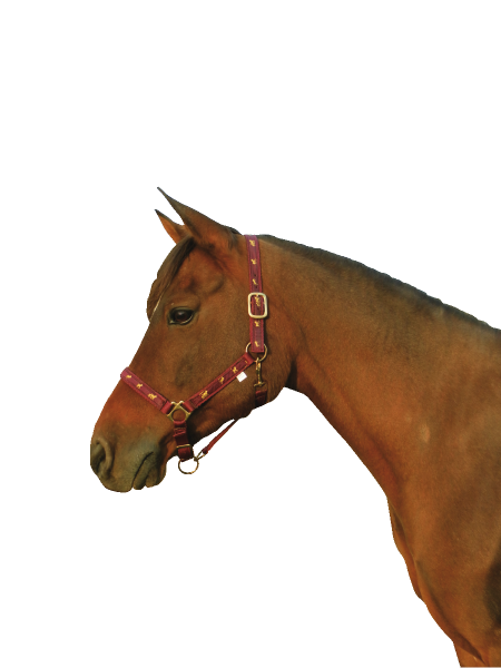 Halfter, mit Pferdemotiven, 2-fach verstellbar, Pony, bordeaux