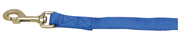 Führleine, flaches Kunststoffband, Wirbelkarabiner, 1,80m, blau